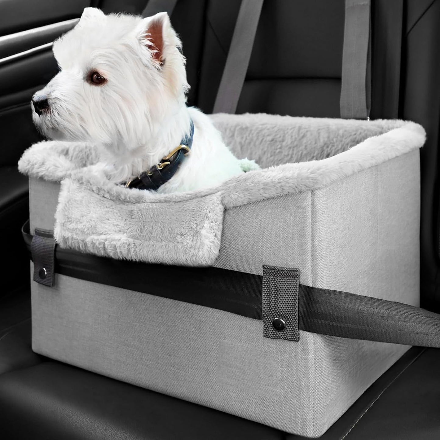 Travel Buddy - Pawmper