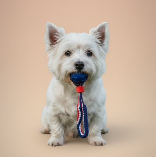 Interactive Dog Toy Ball Interactive
